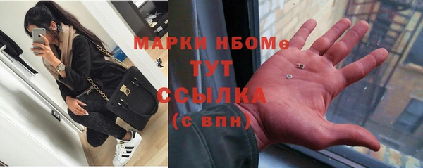 прущий лед Вязьма