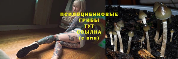таблы Горнозаводск