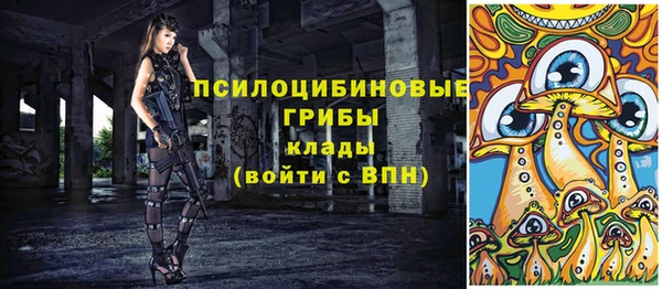 прущий лед Вязьма