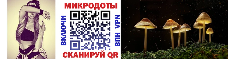 Купить где  Малая Вишера  Псилоцибиновые грибы прущие грибы 